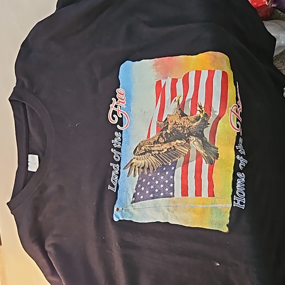 Lg USA Eagle Flag LAND OF THE FREE HOME OF THE BRAVE